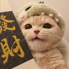 Finance Expert Avatar